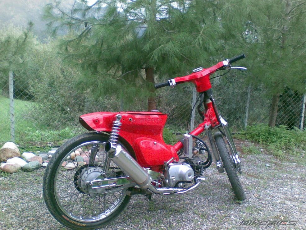 Photo 1519419