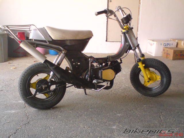 Photo 1519420