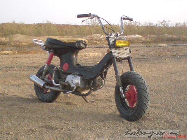 Photo 1519426