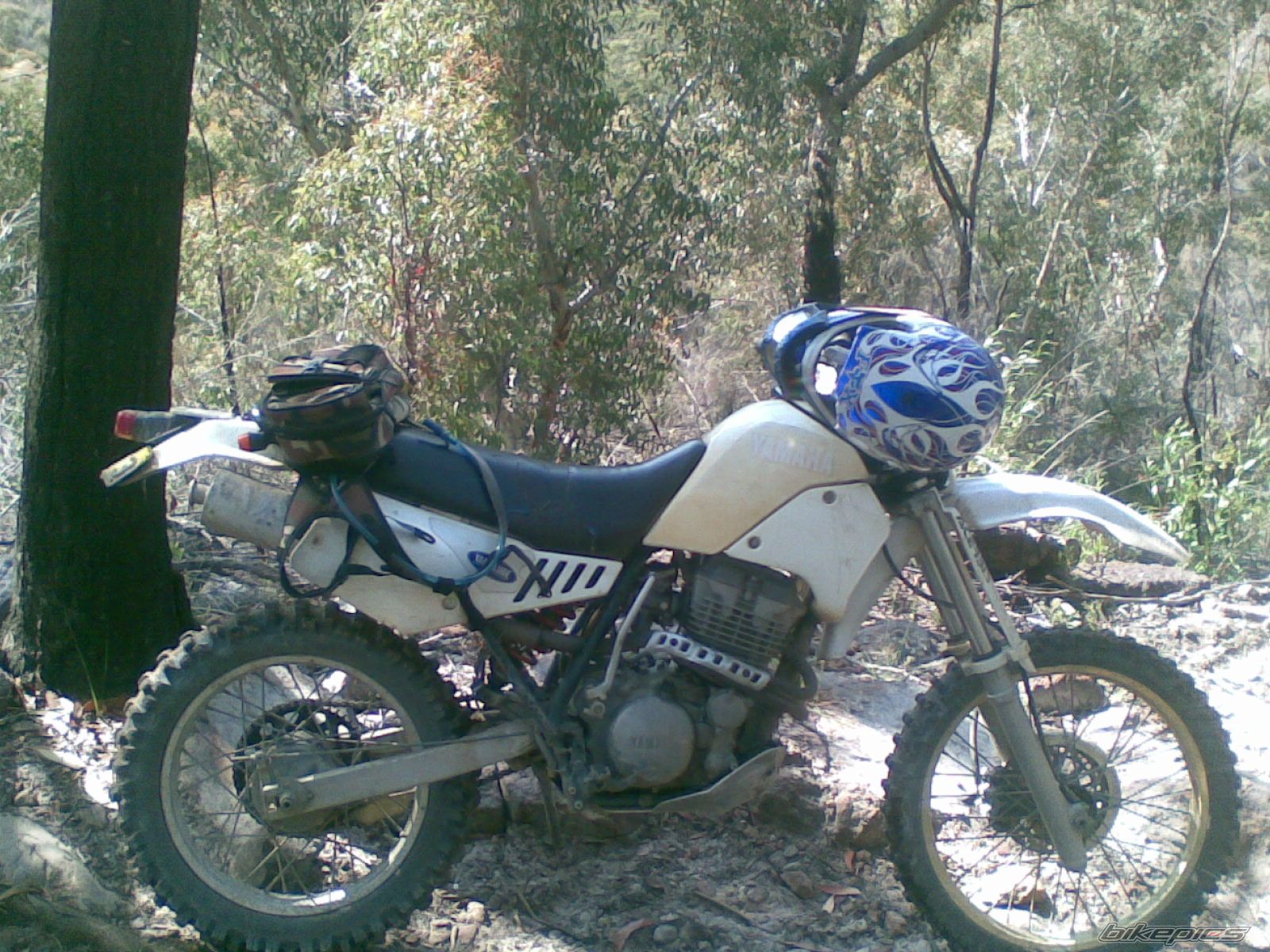 Photo 1519428