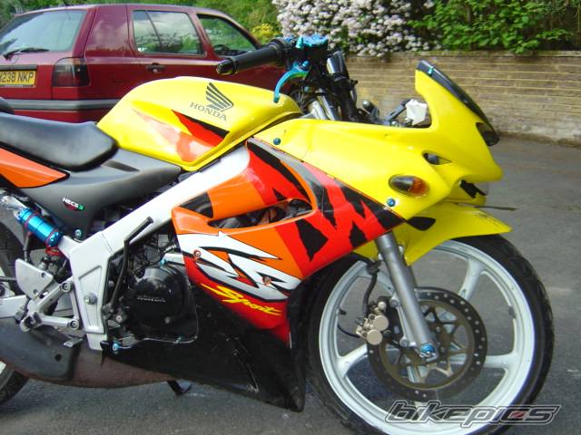Photo 151943