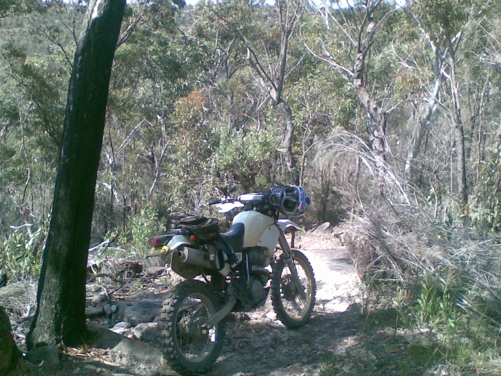 Photo 1519433