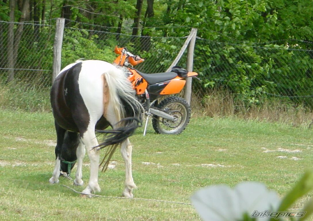 Bike Photo 1519454