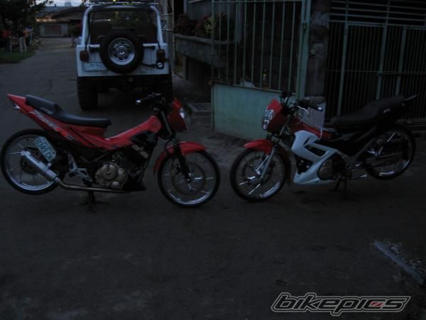 Photo 1519455