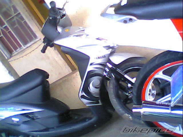 Photo 1519467