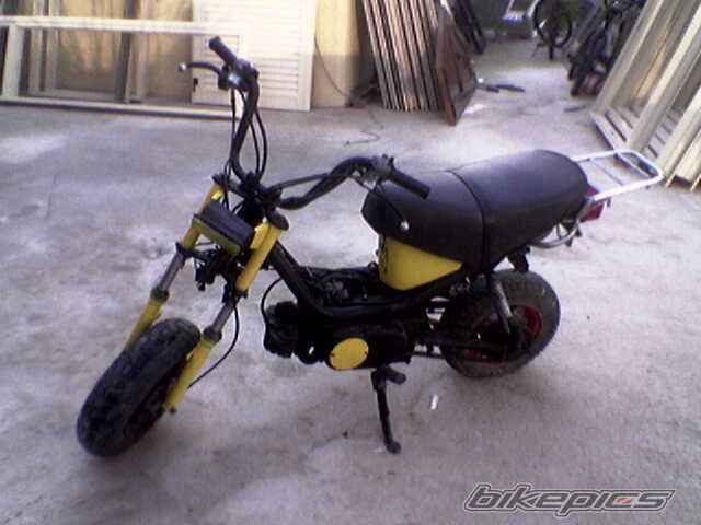 Photo 1519473