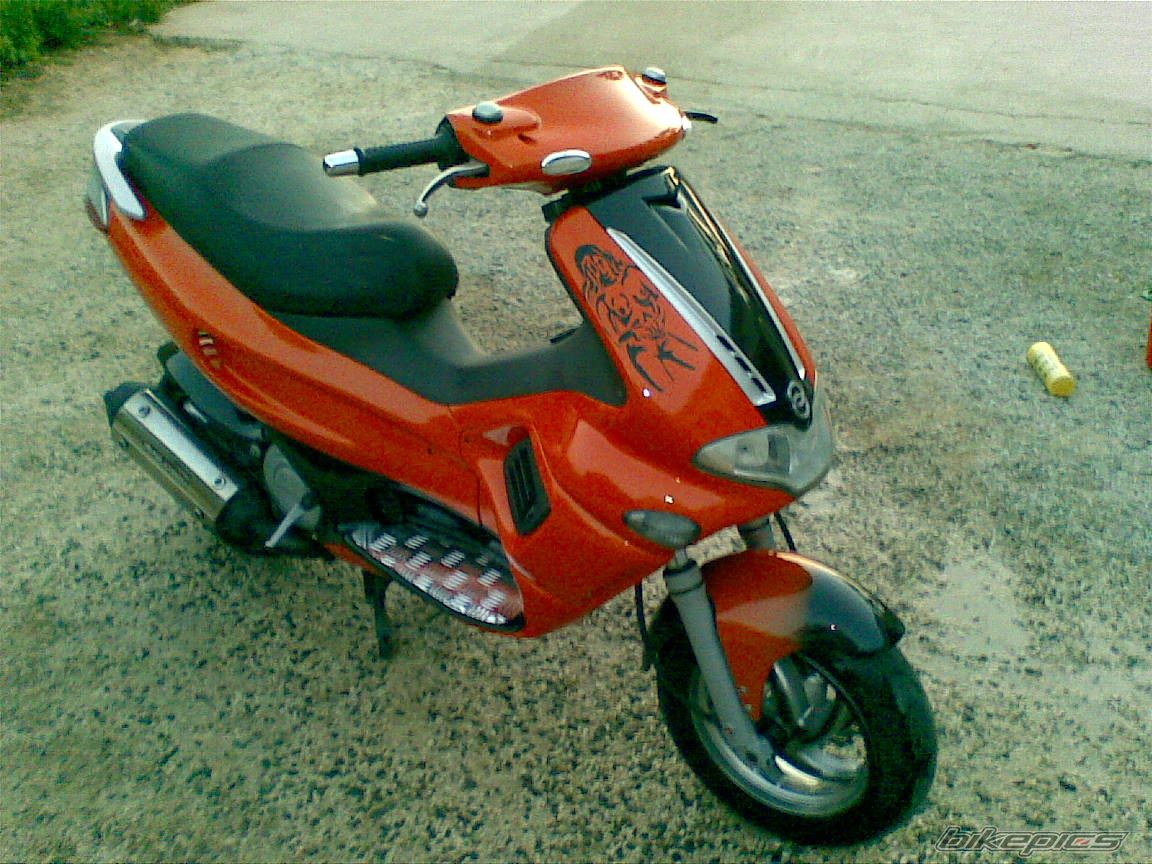 Photo 1519474