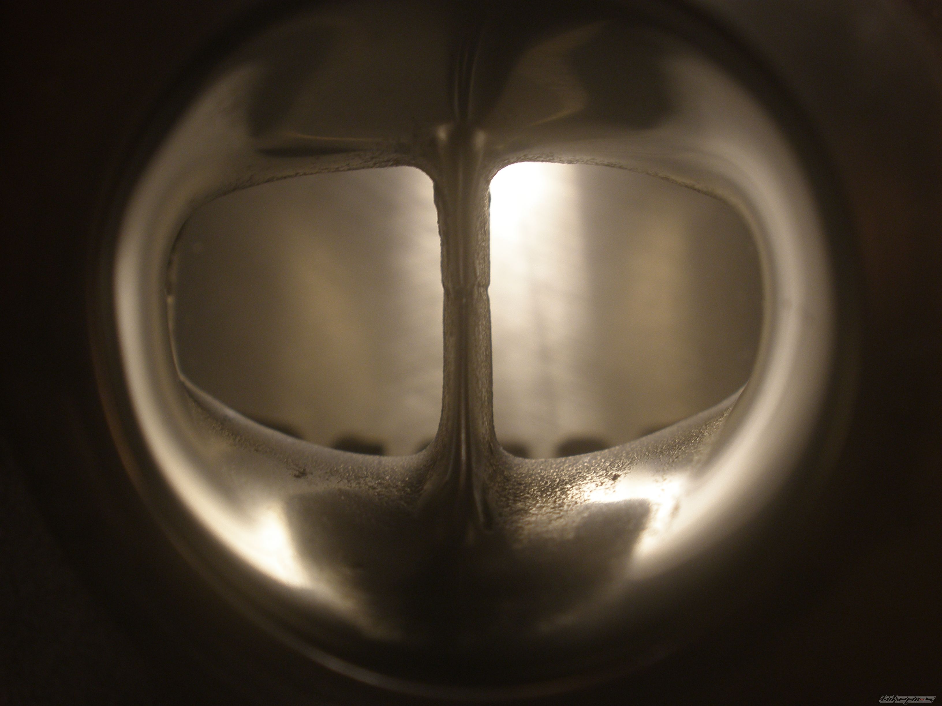 Photo 1519522