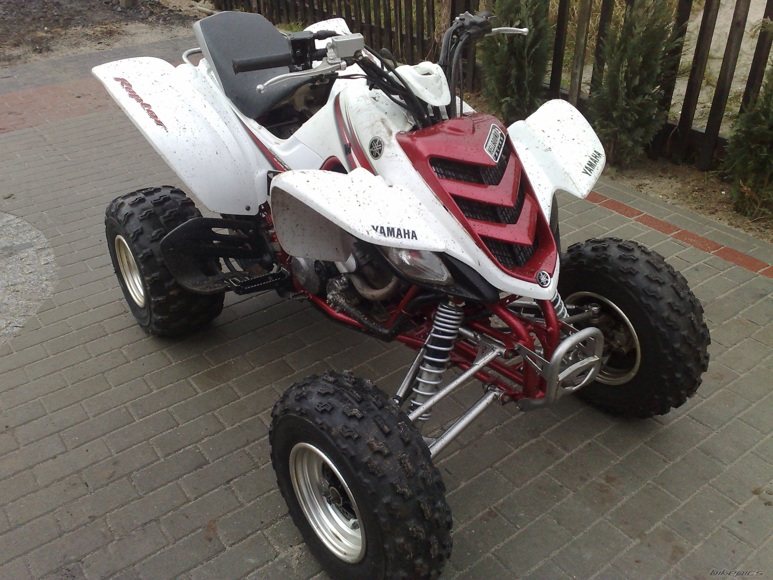 Photo 1519528