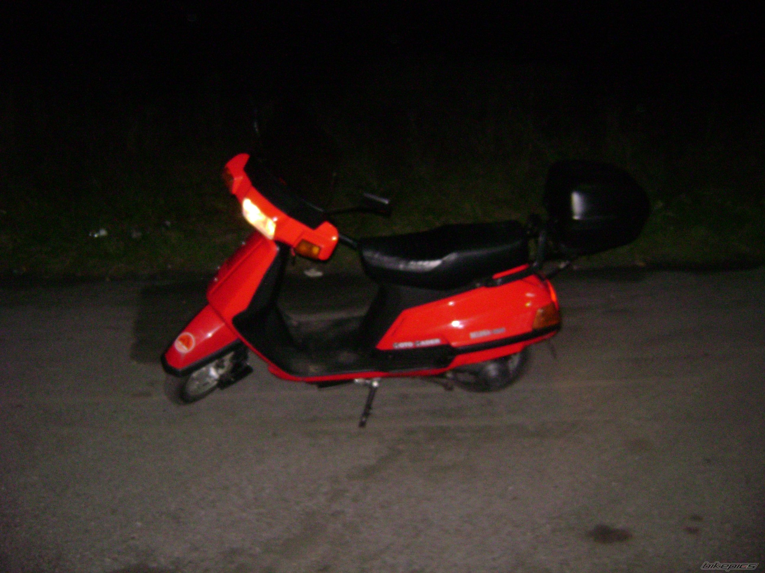 Photo 1519534