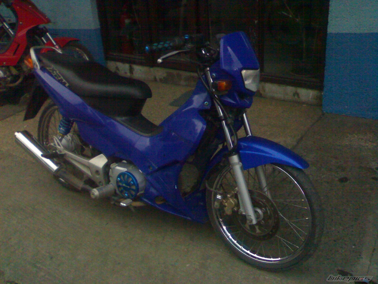 Photo 1519565