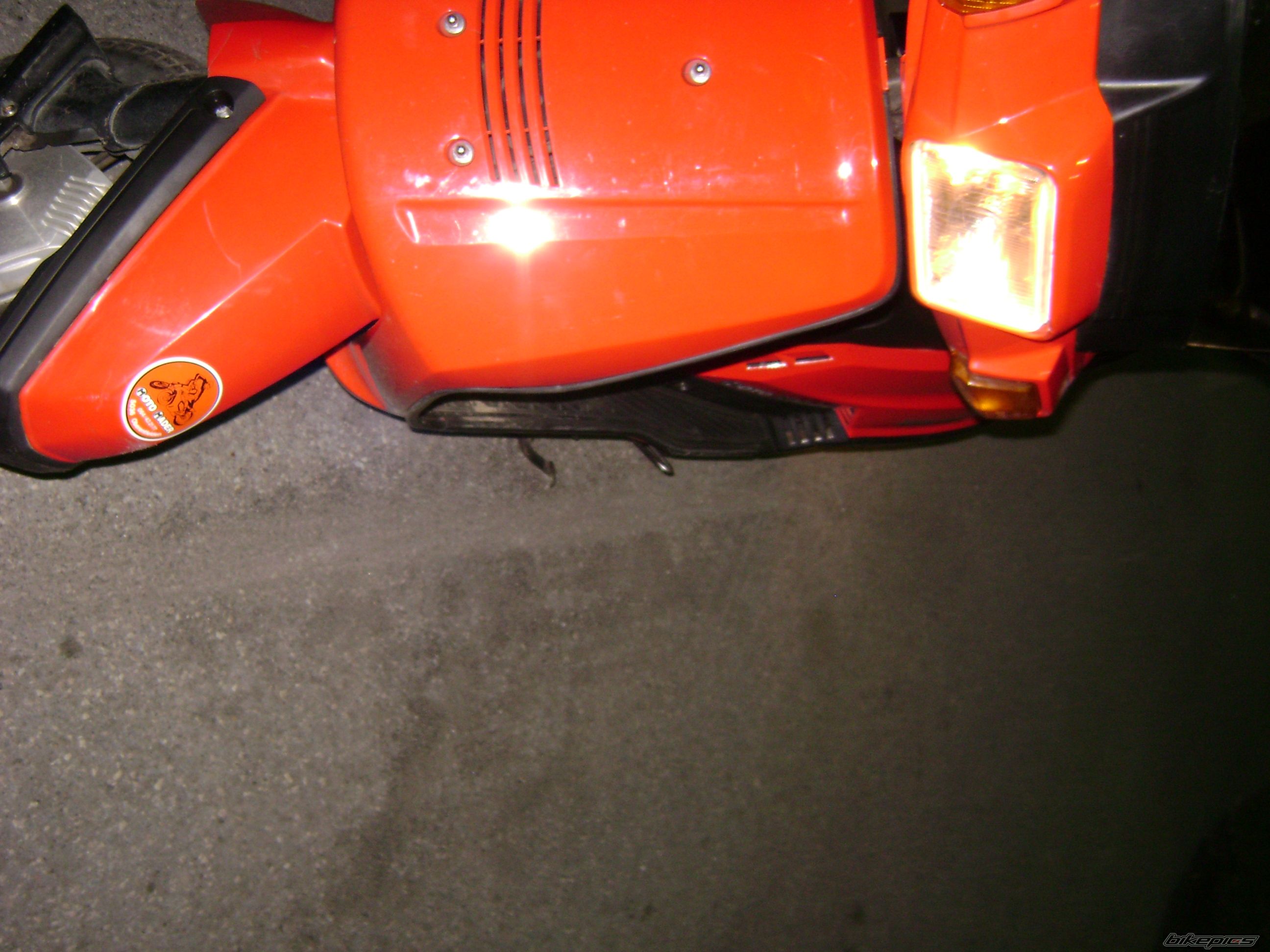 Photo 1519566