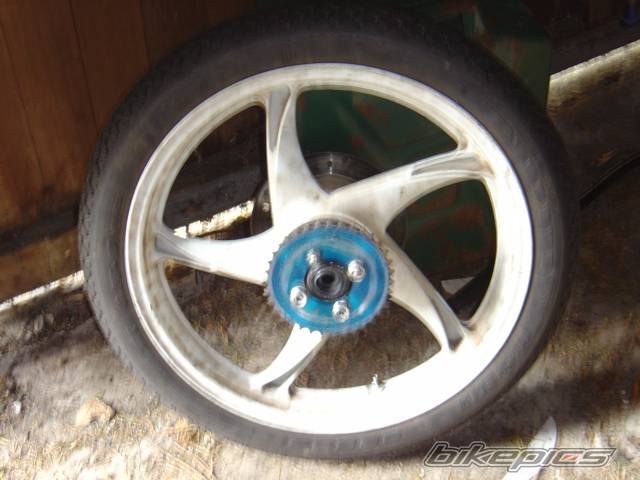 Photo 151959