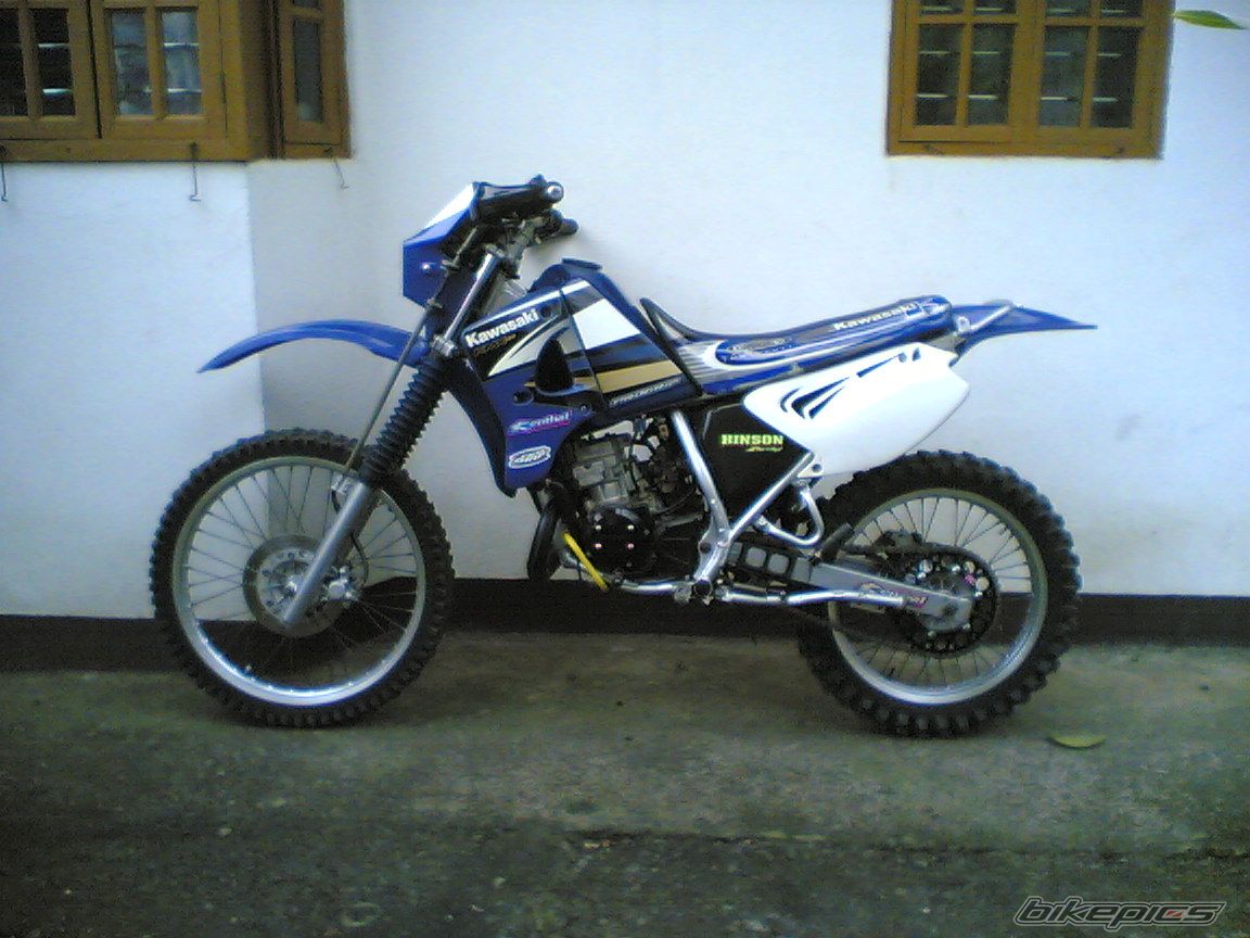 Photo 1519645