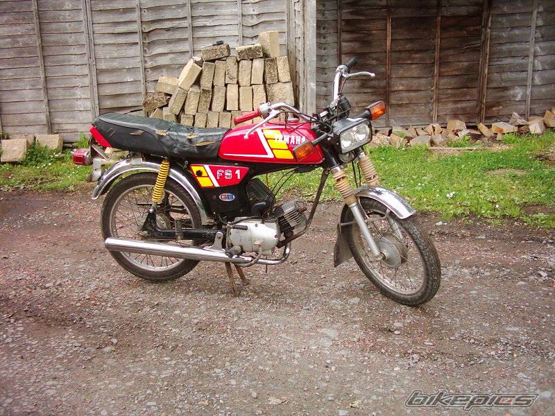 Photo 151974