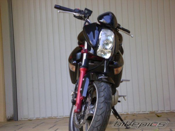 Photo 1519795