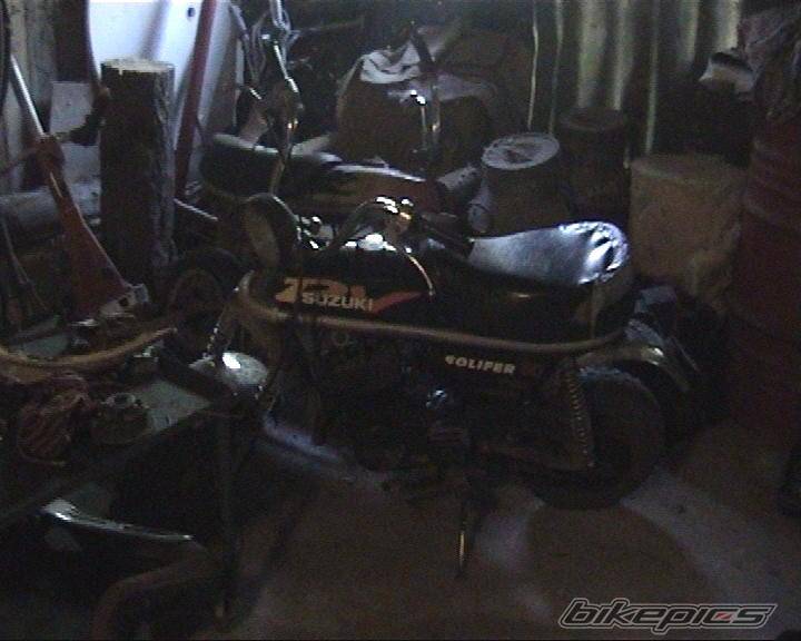 Photo 151980