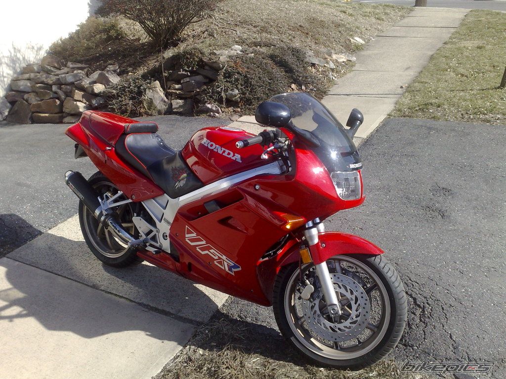 Photo 1519808