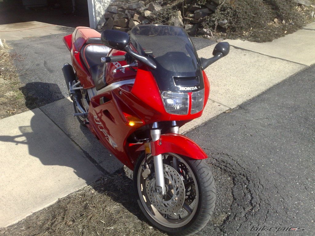 Photo 1519809