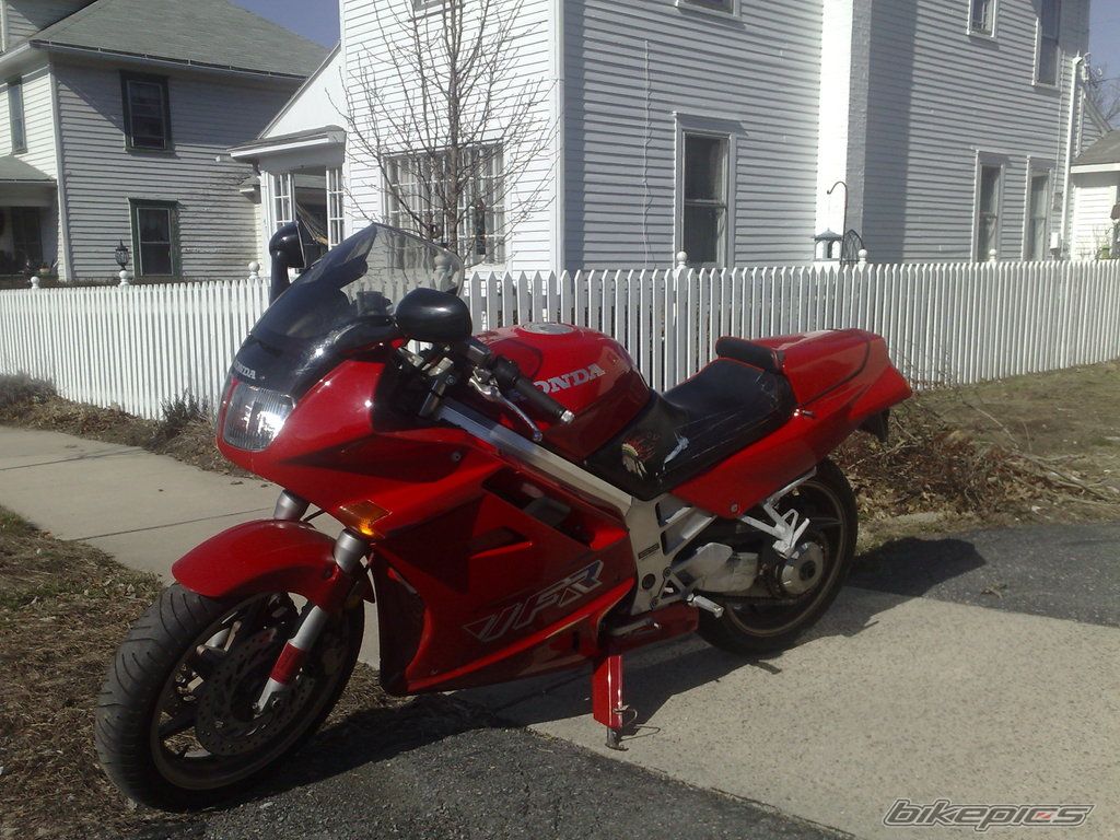 Photo 1519811