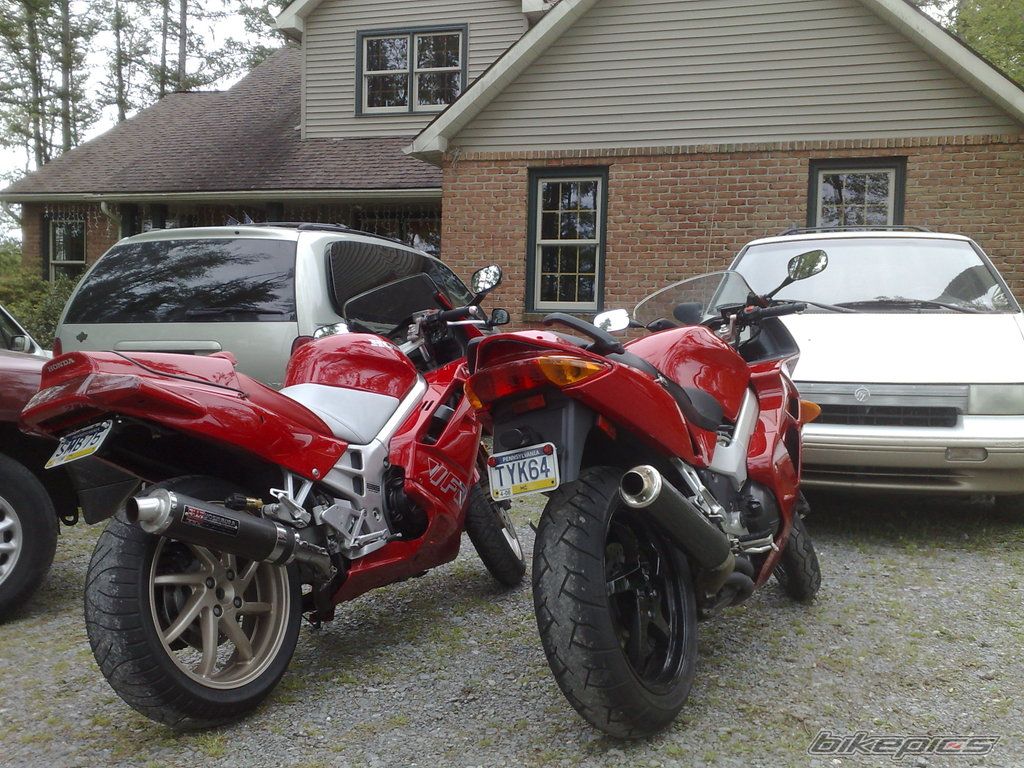 Photo 1519816
