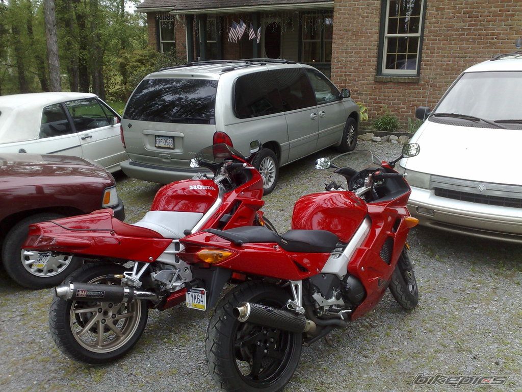 Photo 1519817