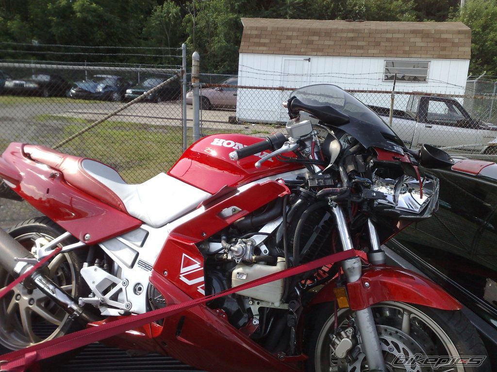 Photo 1519819