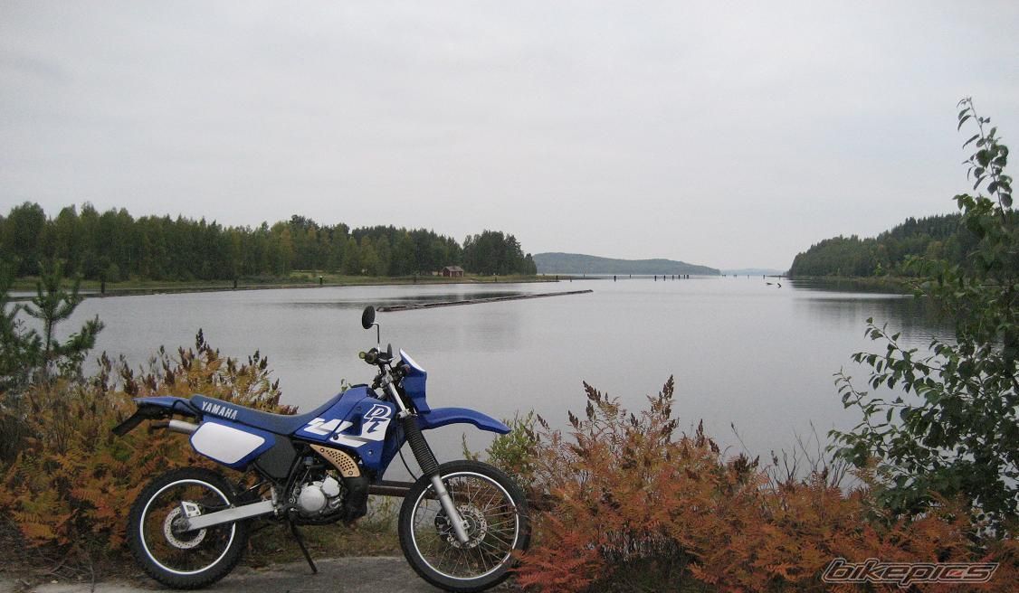 Photo 1519844