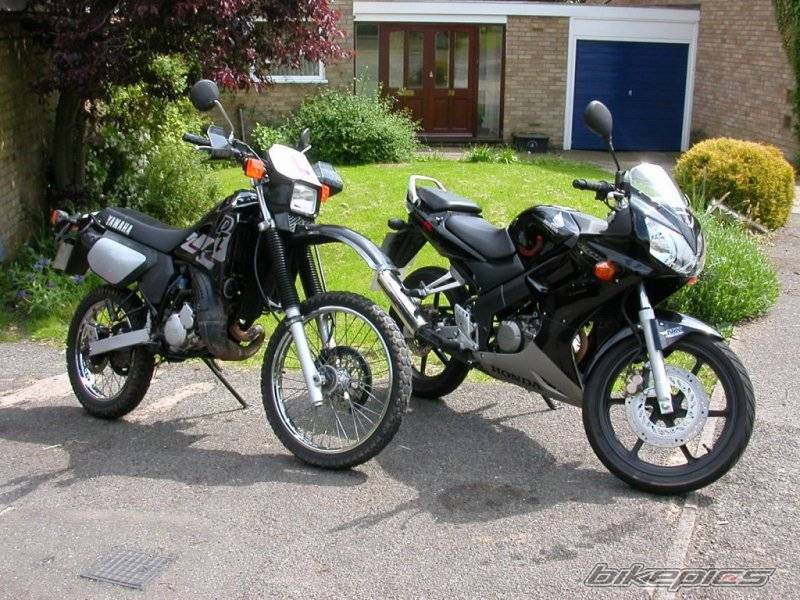 Photo 151991