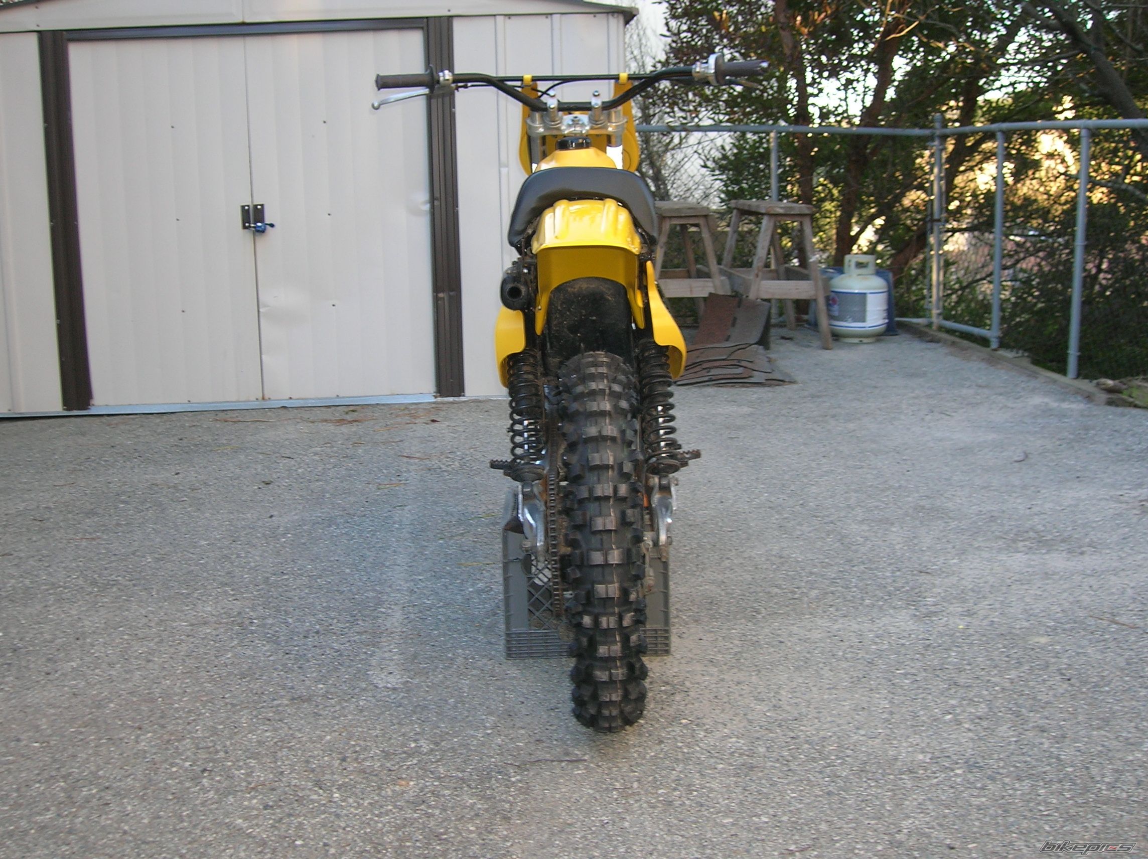Photo 1519982