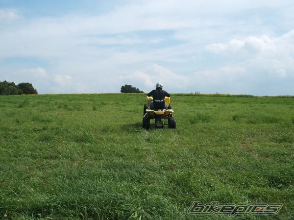 Photo 1520037