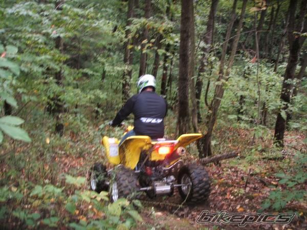 Photo 1520042