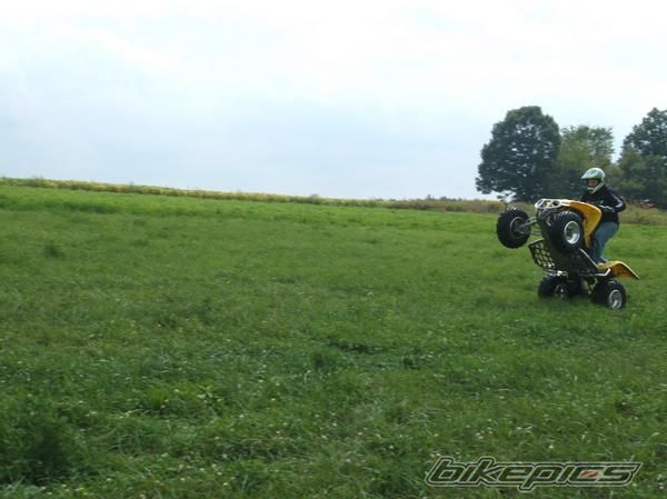 Photo 1520043