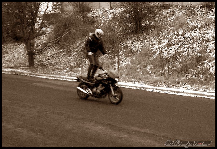 Photo 1520239