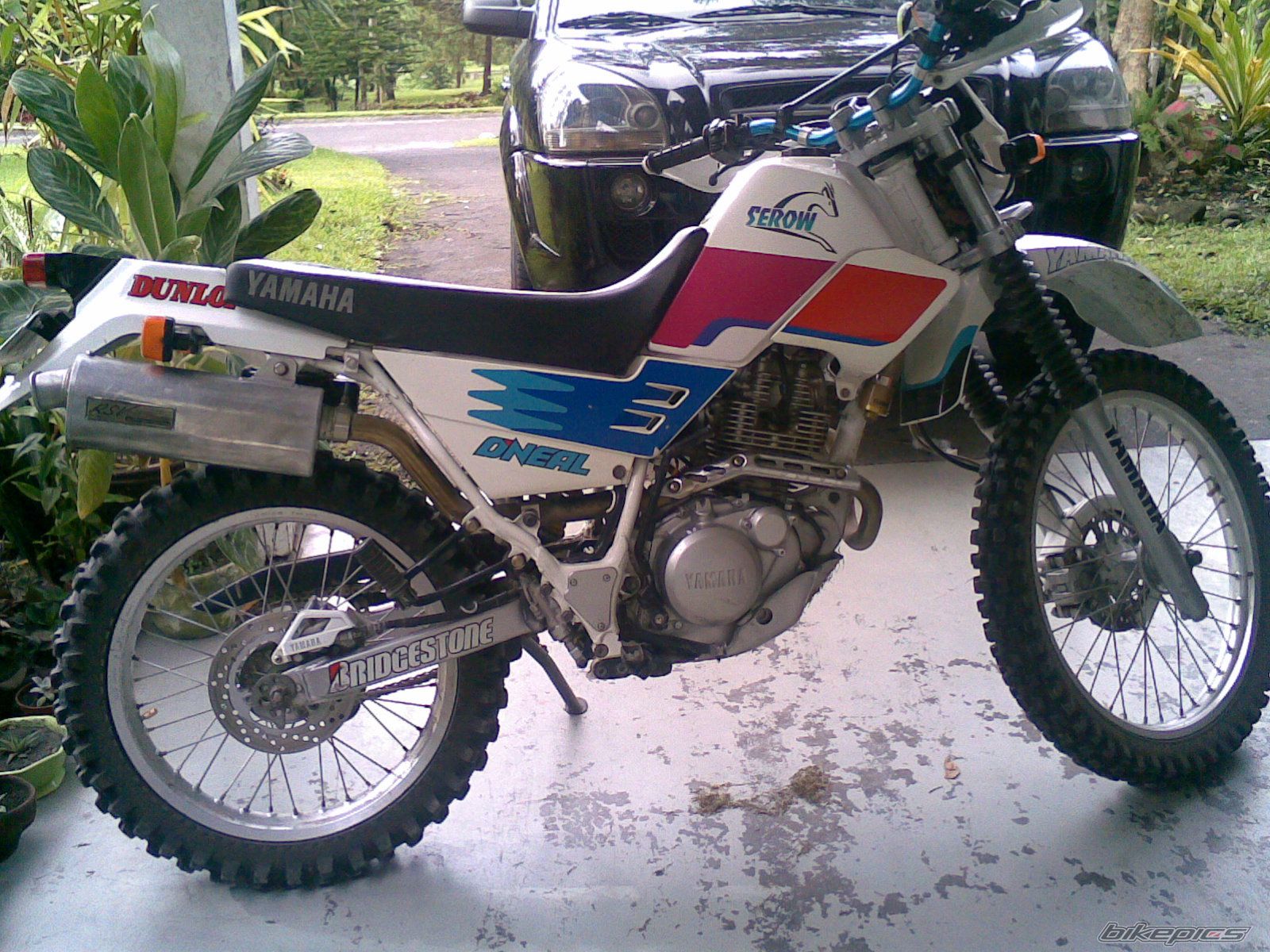 Bike Photo 1520243