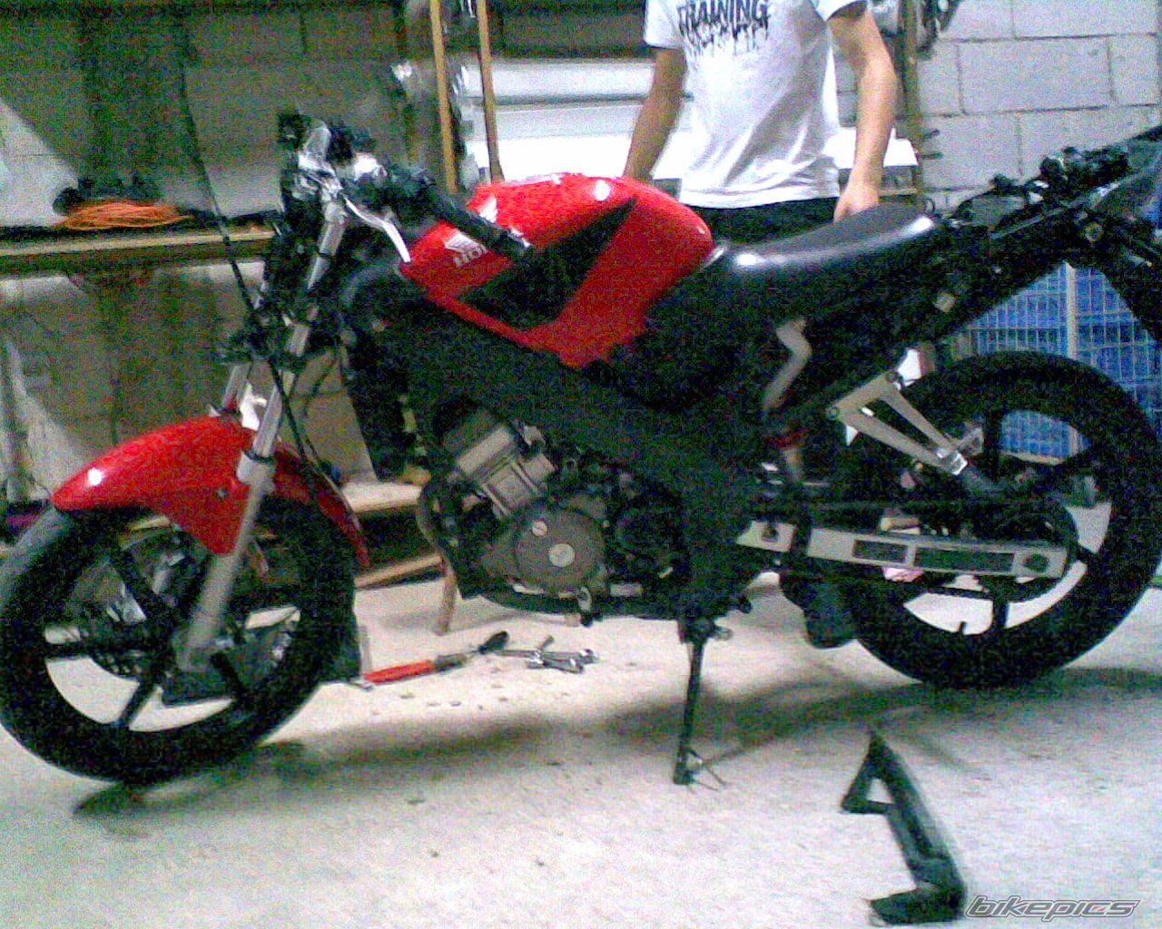 Photo 1520254