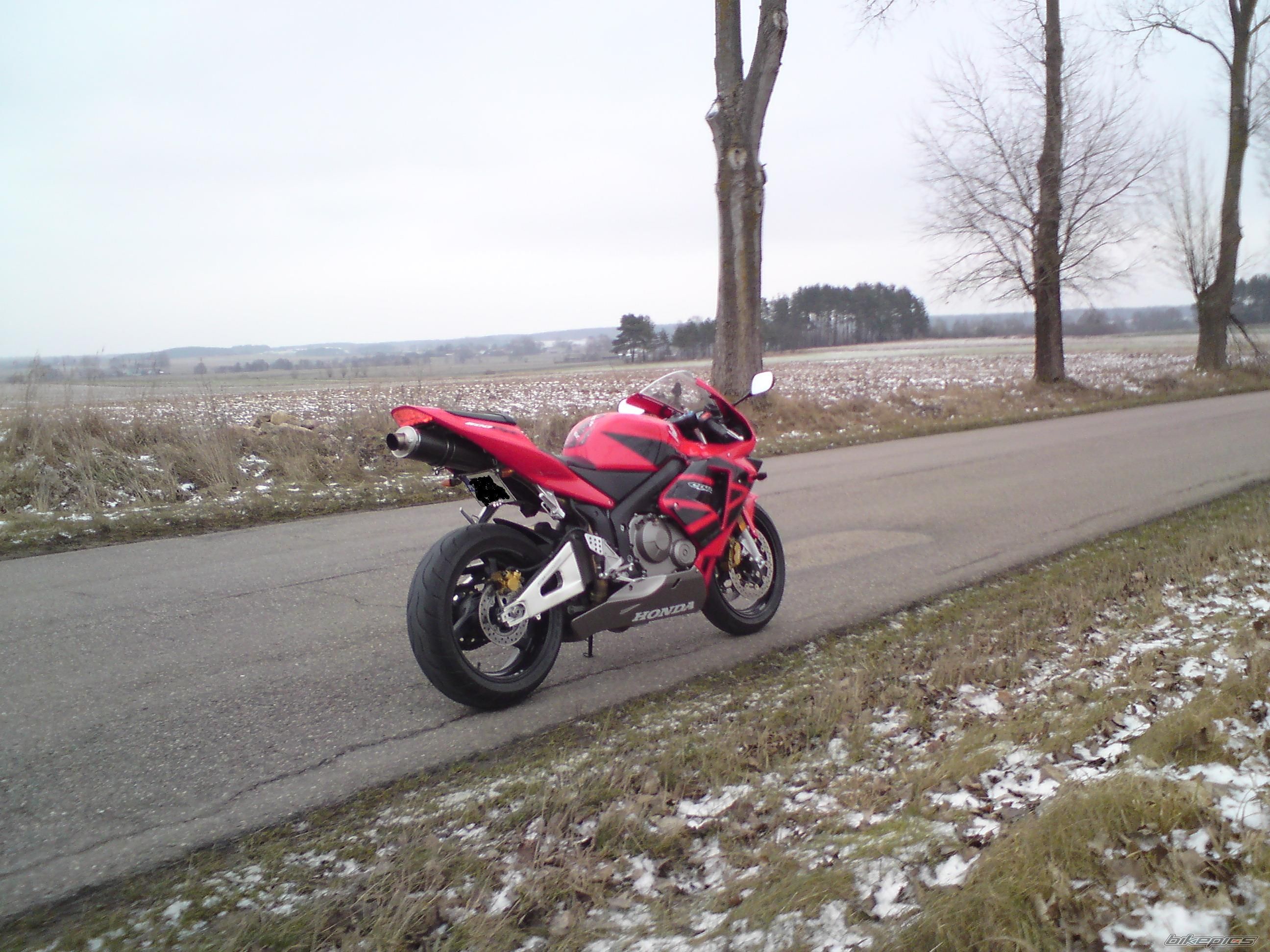 Photo 1520296