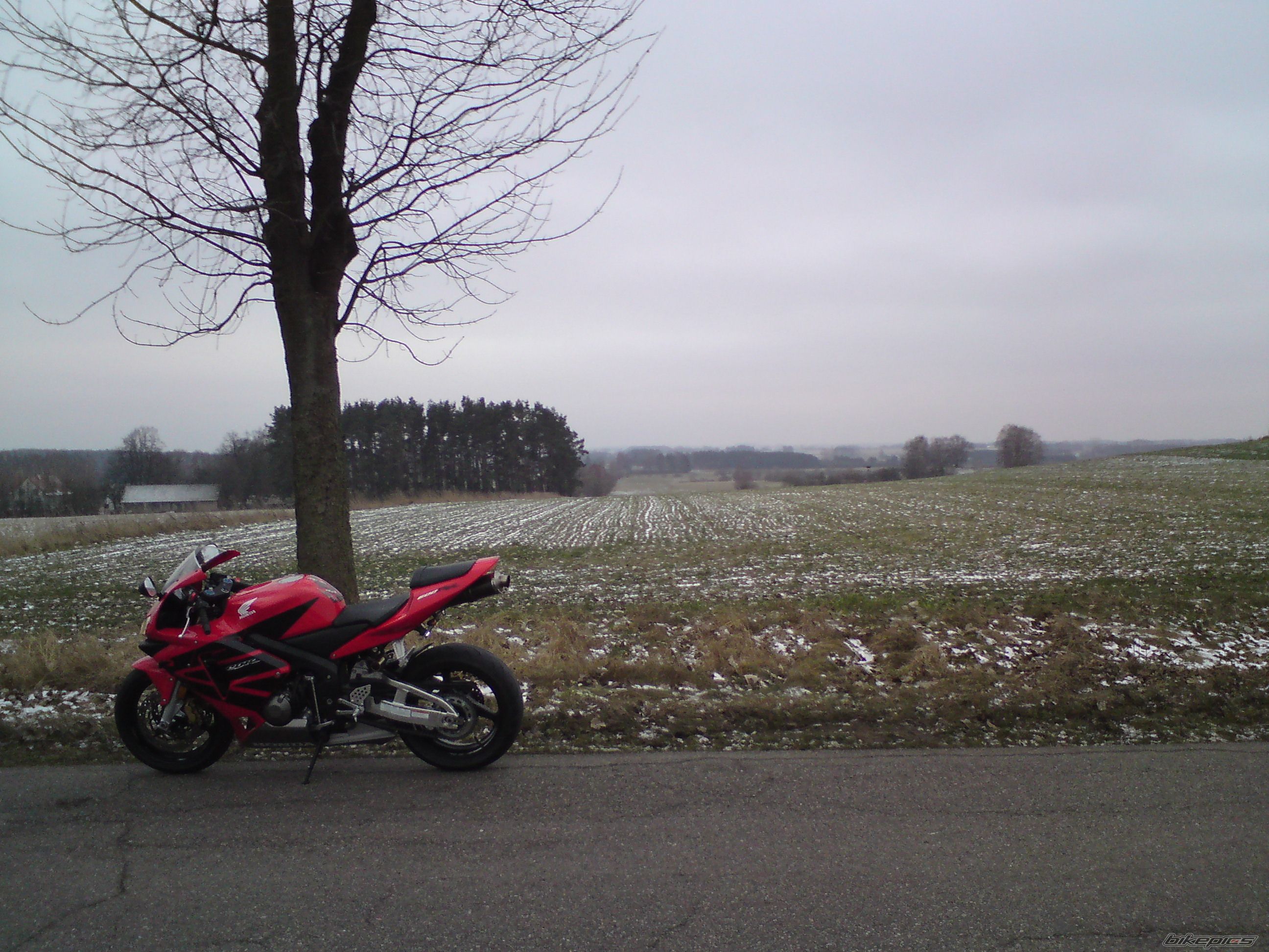 Bike Photo 1520304