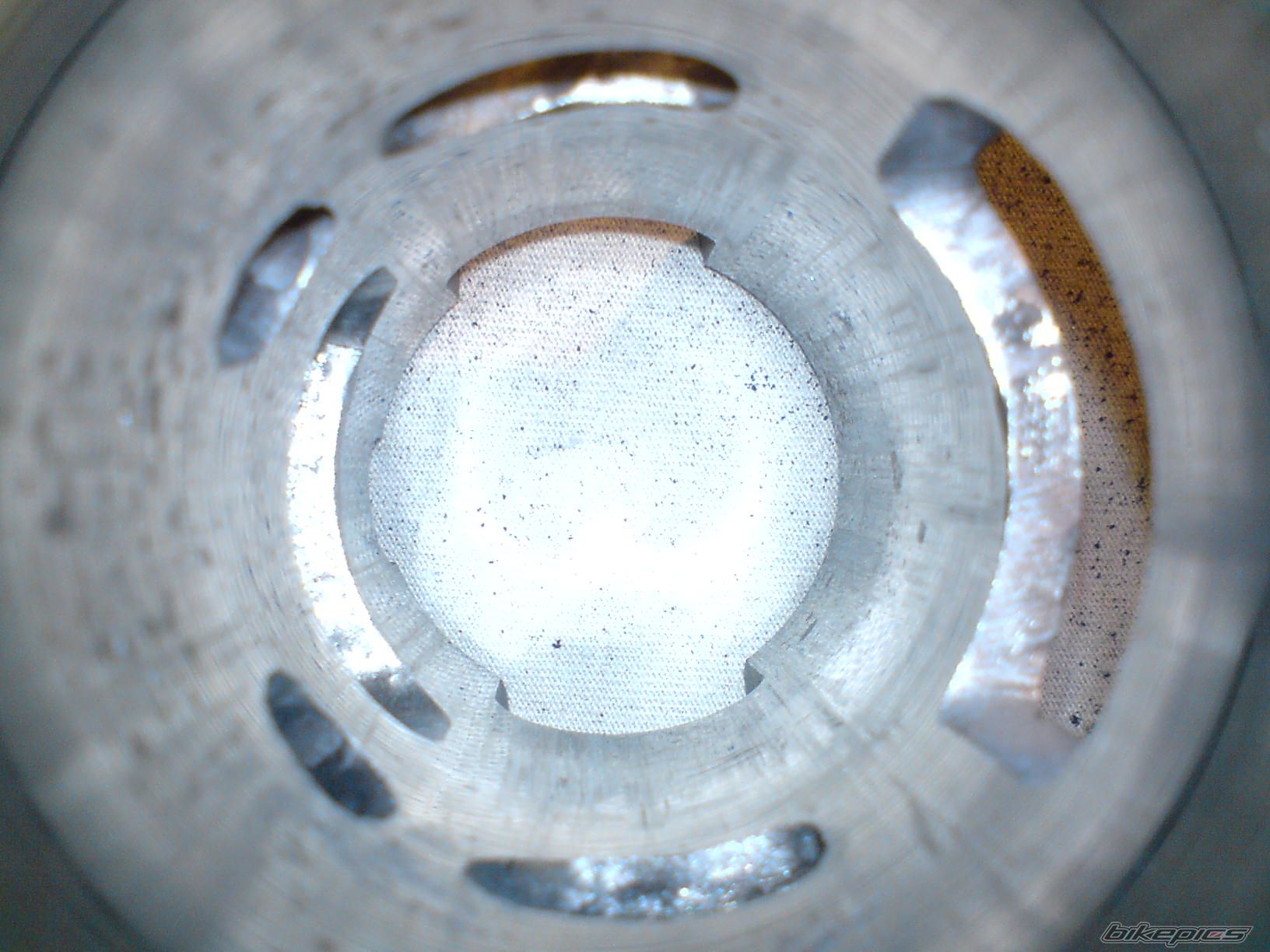 Photo 1520329