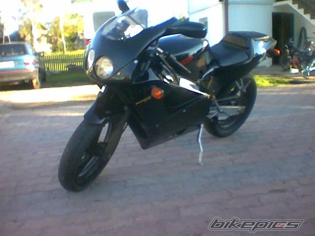 Photo 1520421