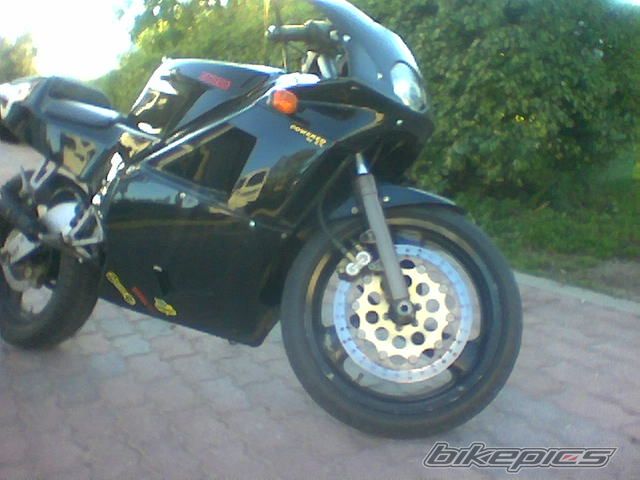 Photo 1520424
