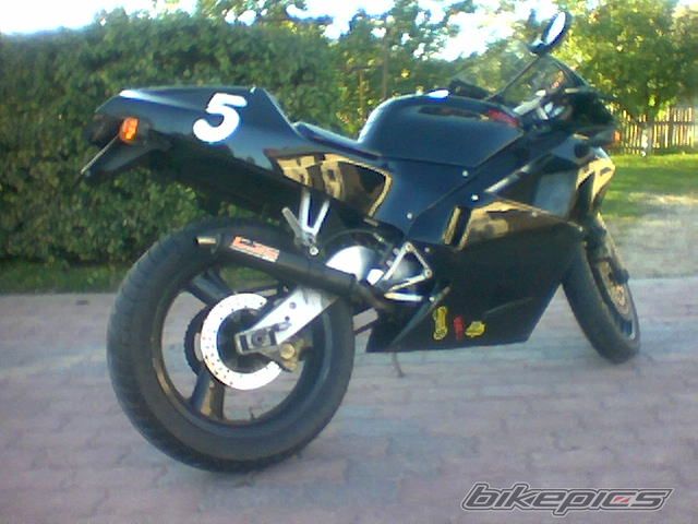 Photo 1520425
