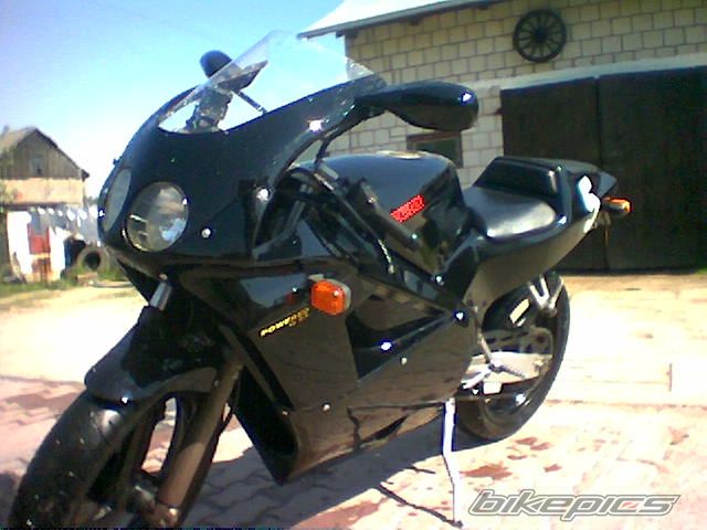 Photo 1520431