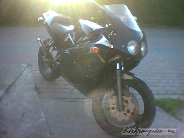 Photo 1520434