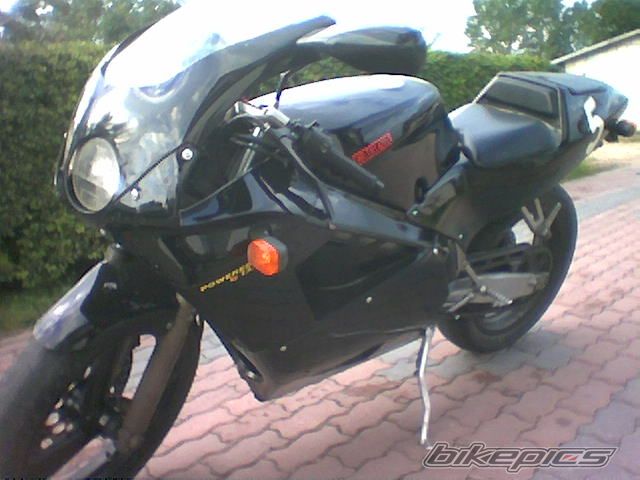Photo 1520437