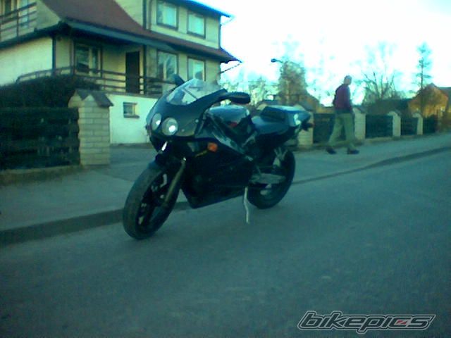 Photo 1520439