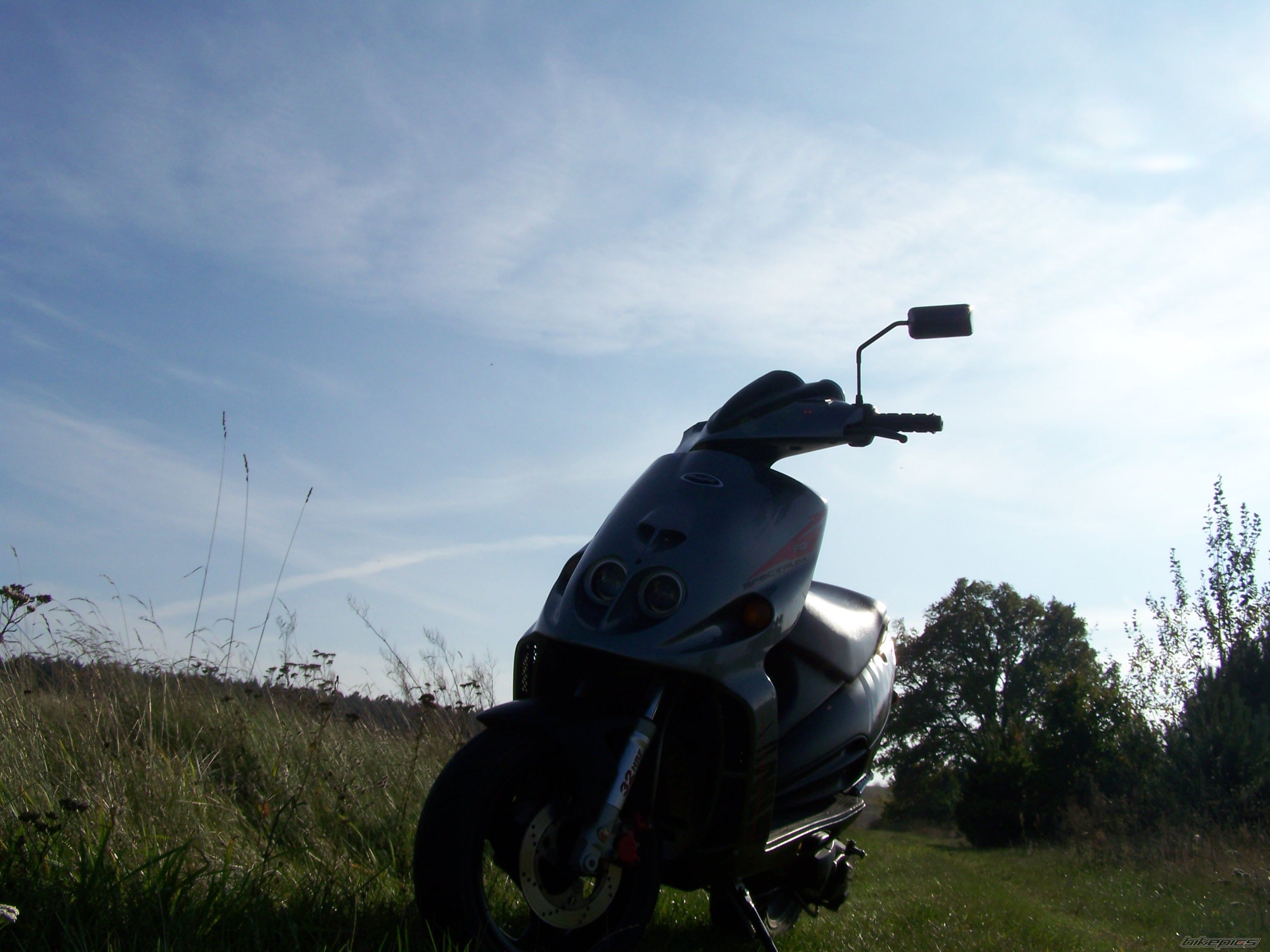 Photo 1520512