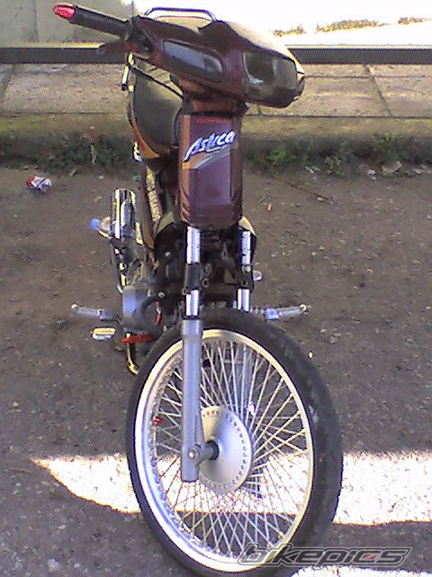 Photo 1520601