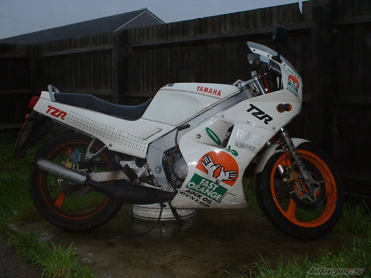 Photo 152067