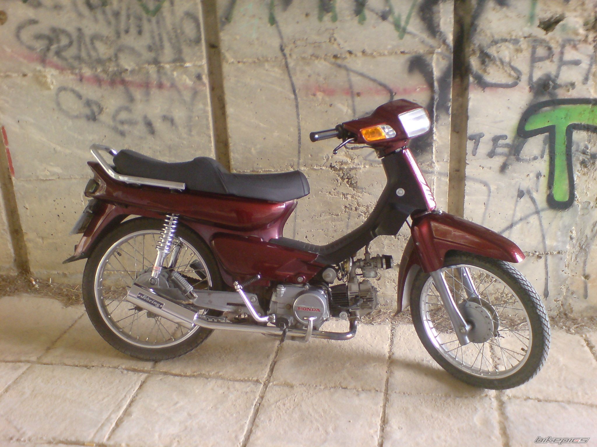 Photo 1520784